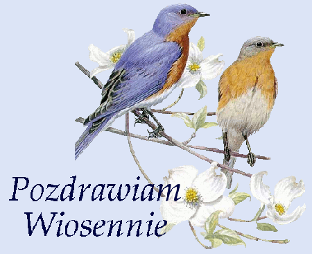 Ptaszki na gałęzi pozdrawiają wiosennie